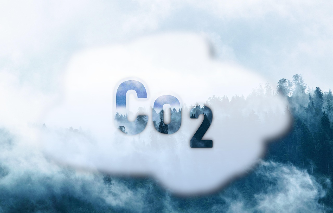 CO₂ Management